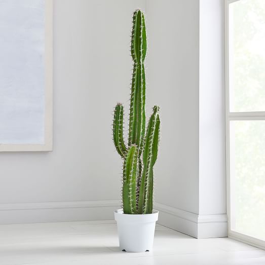 Faux Potted Cactus Plant West Elm UK